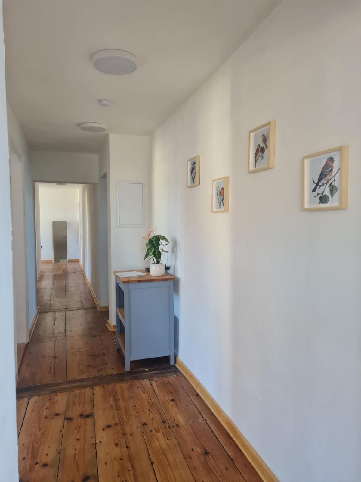 170M2 Apartment In Historical Building Gutenzell-Hürbel Exterior foto